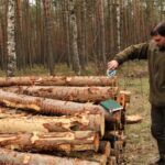 Prywatne lasy pod nadzorem inspektora