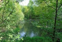 Piknik na „Gliniankach”