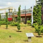 Huta Miedzi Głogów świętuje 50-lecie – przy oddziale KGHM Polska Miedź S.A. posadzono 5 dębów