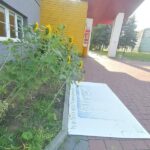 Młodzieżowy Dom Kultury zlikwidowany