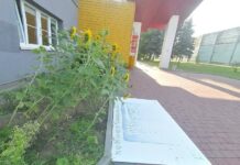 Młodzieżowy Dom Kultury zlikwidowany