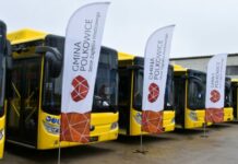 Konkurs „Inwestycja z perspektywą”. Oddaj głos na Polkowice