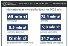 Budżet gminy Polkowice na 2022 rok