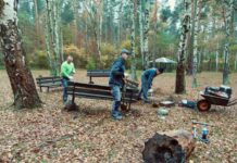 Remont ścieżki zdrowia