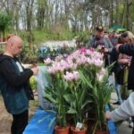 Festiwal kwiatów i rękodzieła, warsztaty artystyczne w Parku Leśnym – FOTO