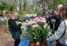 Festiwal kwiatów i rękodzieła, warsztaty artystyczne w Parku Leśnym – FOTO