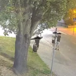 Monitoring Polkowic – inwestycja która się opłaca