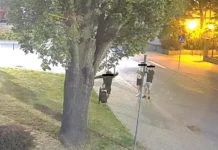 Monitoring Polkowic – inwestycja która się opłaca