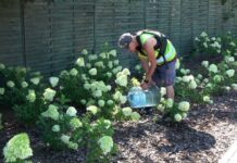 Wody brak, a o tereny zielone trzeba dbać…