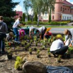 Ogród deszczowy na zakończenie Polkowickiego Dnia Drzewa