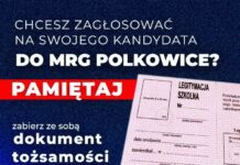 Wybory do Młodzieżowej Rady Gminy drugiej kadencji