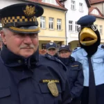 Zdobyli ponad cztery tysiące głosów