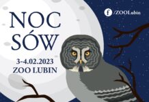 ZOO Lubin zaprasza na Noc Sów 2023
