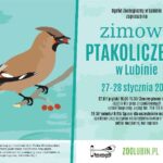 Policz ptaki w zoo, idź na spacer, stwórz obraz