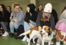 Dwa dni Wielkiej Orkiestry Świątecznej Pomocy w ZS 2 w Lubinie – FOTO