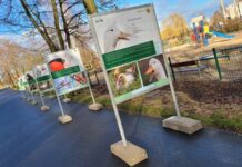 Jest wystawa, będzie nowa ścieżka w lubińskim zoo