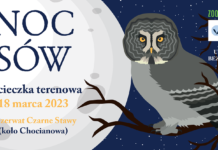 ZOO Lubin zaprasza na Noc Sów