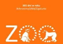 ZOO promuje ochronę ginących gatunków