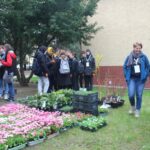 Spółka KGHM zadbała o kolorowe rośliny – FOTO