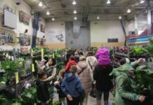 Zielony raj w SP 14, czyli festiwal roślin – FOTO