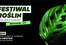 Roślinny raj w najbliższy weekend. Targ w SP 14