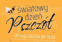 Święto pszczół już w sobotę. Będzie mnóstwo atrakcji