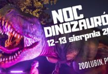 Noc Dinozaurów w lubińskim ZOO