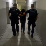 Schowali się w pszenicy. Policja nie uwierzyła w bajkę o randce