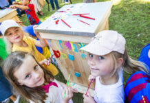 Miedziowe pszczoły od KGHM