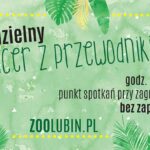 Spacer z przewodnikiem w lubińskim zoo