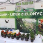 Ponad 300 kwiatów i drzew posadzonych