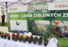 Ponad 300 kwiatów i drzew posadzonych