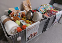 KGHM podsumowuje zbiórki książek i artykułów dla potrzebujących zwierząt