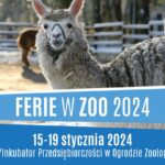 Ferie z ZOO. Ruszył zapisy