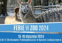 Ferie z ZOO. Ruszył zapisy