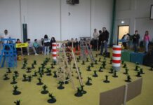 Warsztaty ekologiczne od wolontariuszy KGHM – FOTO