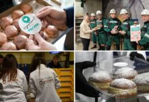 Rekordowa akcja wolontariacka KGHM “Pączek ze szlachetnym nadzieniem”