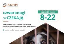 KGHM zachęca do pomocy zwierzętom