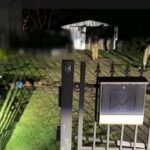 Policja z Lubina, Wrocławia i Opola zatrzymała włamywaczy – FILM