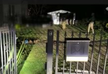 Policja z Lubina, Wrocławia i Opola zatrzymała włamywaczy – FILM