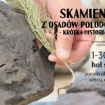 Krótka historia życia na Ziemi