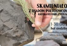 Krótka historia życia na Ziemi