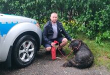 Policjanci uratowali psa