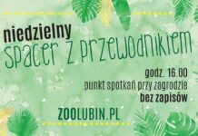 W niedzielę na spacer z przewodnikiem