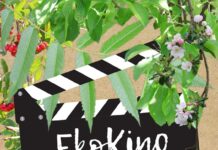 Kino w plenerze w lubińskim ZOO