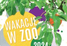 ZOO Lubin – druga odsłona wakacji