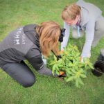 KGHM pomoże w budowie Ogrodu Marzeń w Przemkowie