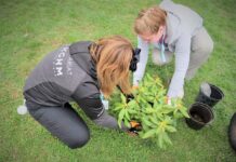 KGHM pomoże w budowie Ogrodu Marzeń w Przemkowie