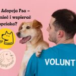Posłuchać dobrych rad o adopcji psa