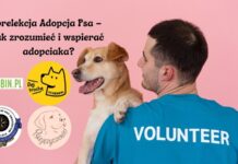 Posłuchać dobrych rad o adopcji psa